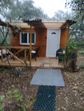 Chez Eve 2